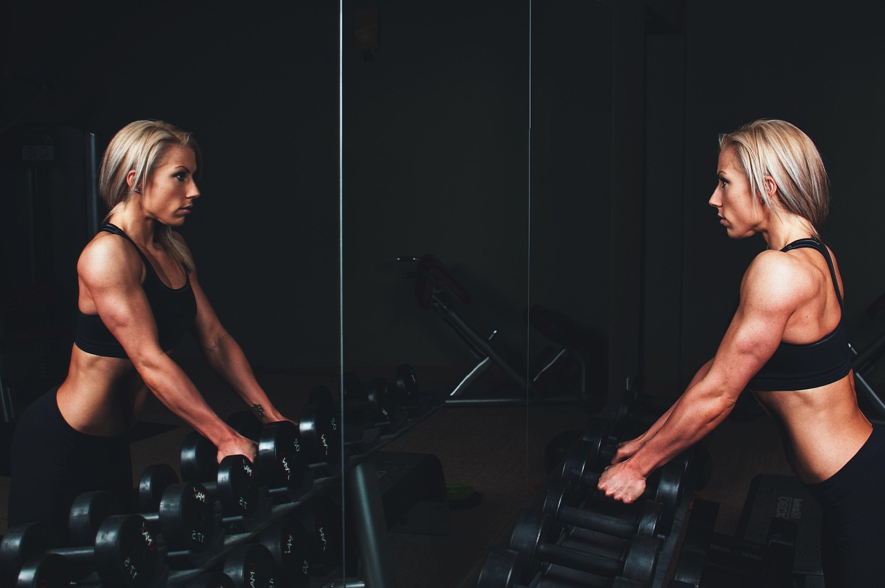 Terrafit Fitness Club collection
